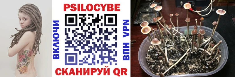 Галлюциногенные грибы мухоморы  где купить наркоту  Сосенский 